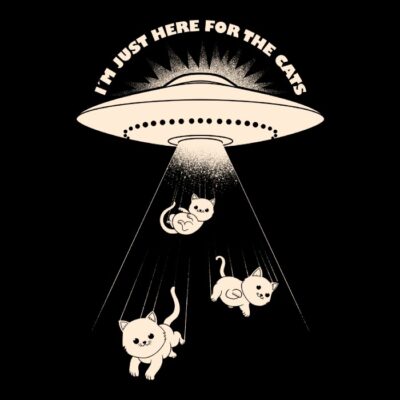 I am just here for the cats