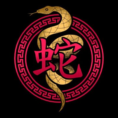 Year of the snake