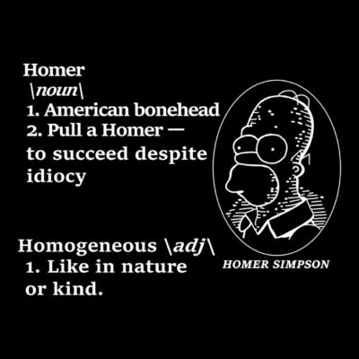 Homer pottra 2