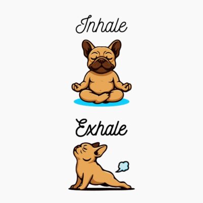 Frenchie Meditando