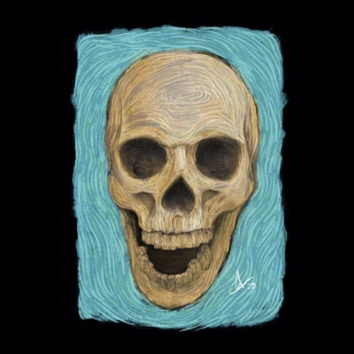 Skull on canvas n02