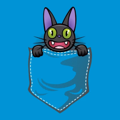 Black Cat In The Pocket