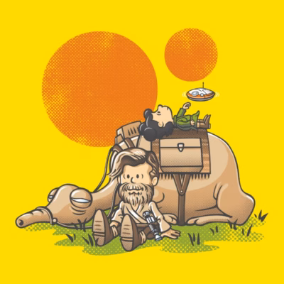 The jedi master and princess