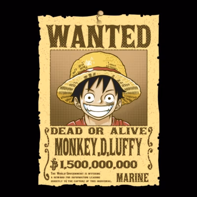 The most wanted pirate