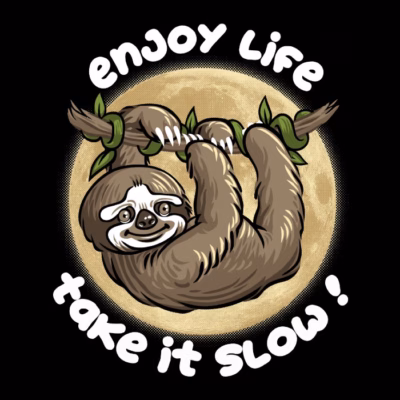Enjoy life Take it slow !