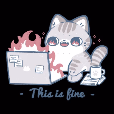 This is fine cat working