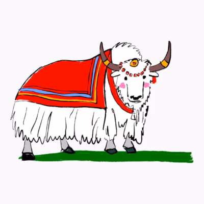 yak