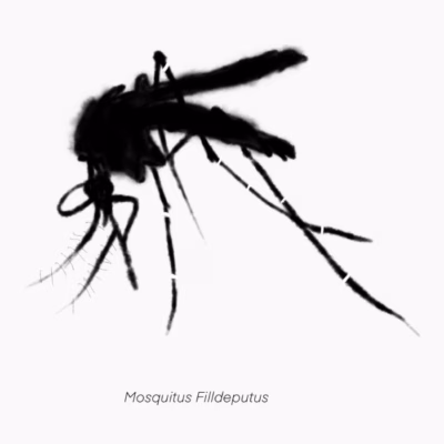mosquito
