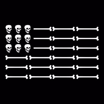 skull and bone flag