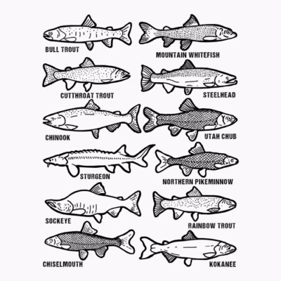 Fishing Fishes Black and White