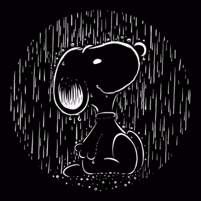 Rainy Beagle