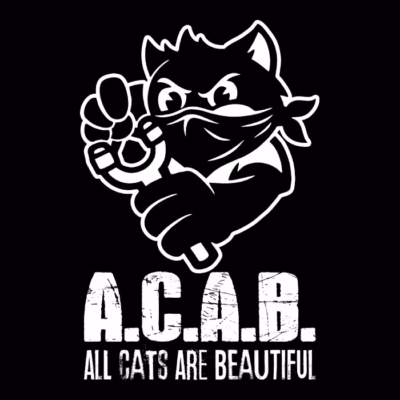 All Cats Are Beautiful