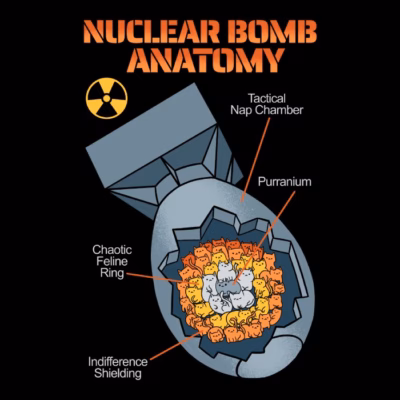 Nuclear bomb anatomy cat parody