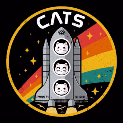 CATS - Space Division
