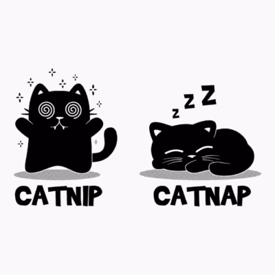 Catnip  vs Catnap